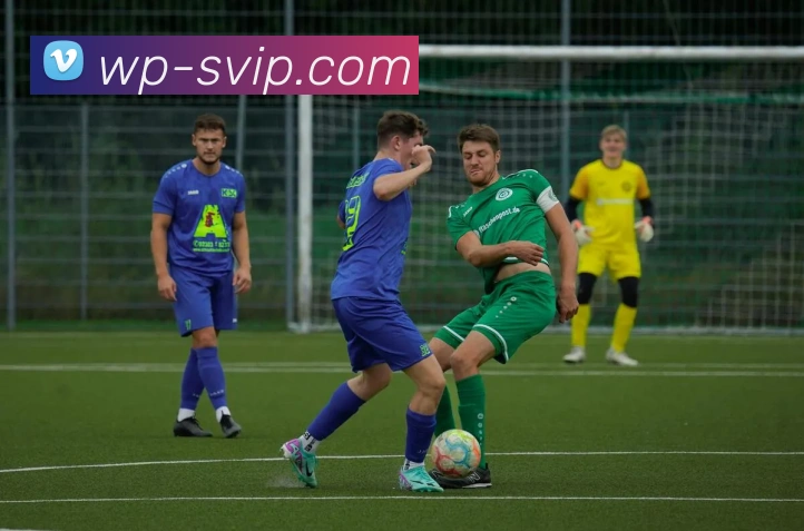 贵宾会官网发展历程